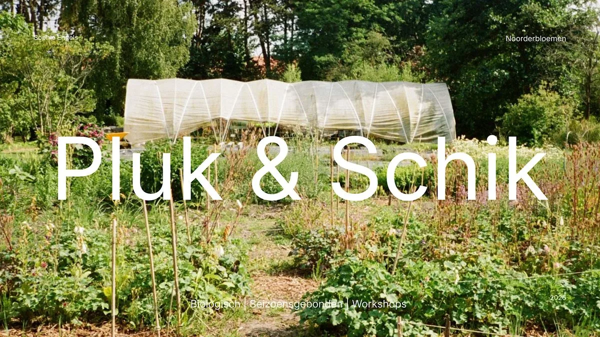 Pluk &amp; Schik middag