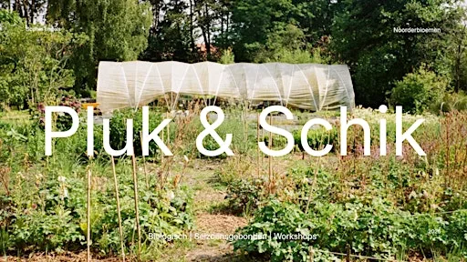 Pluk & Schik middag