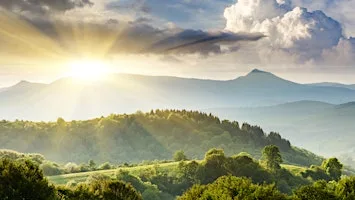 Sustainability for competitiveness: Insights from business leaders