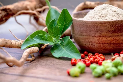 Safeguarding Ashwagandha through Evidence-based Regulations
