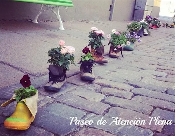 Paseo de Atención Plena