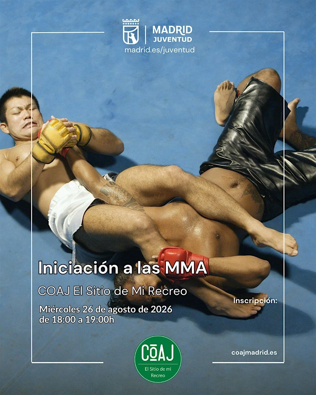 INICIACIÓN A LAS MMA